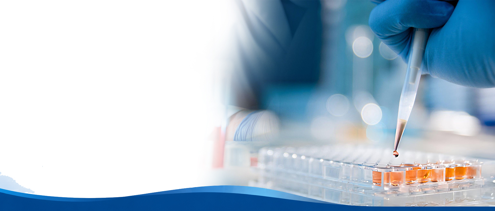 Laboratory technician pipetting samples